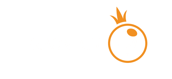 پے میسر logo